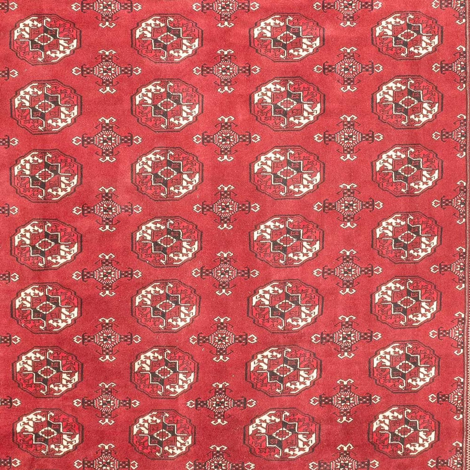 Turkaman-tæppe - 400 x 260 cm - rød