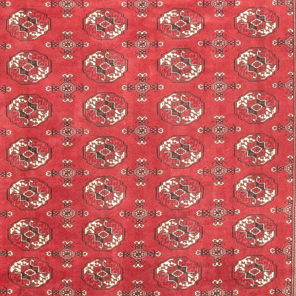 Turkaman-tæppe - 400 x 260 cm - rød