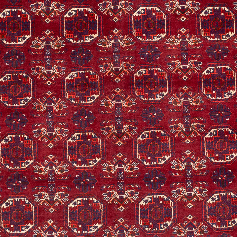 Afghansk tæppe - Bukhara - 283 x 198 cm - mørkegrå