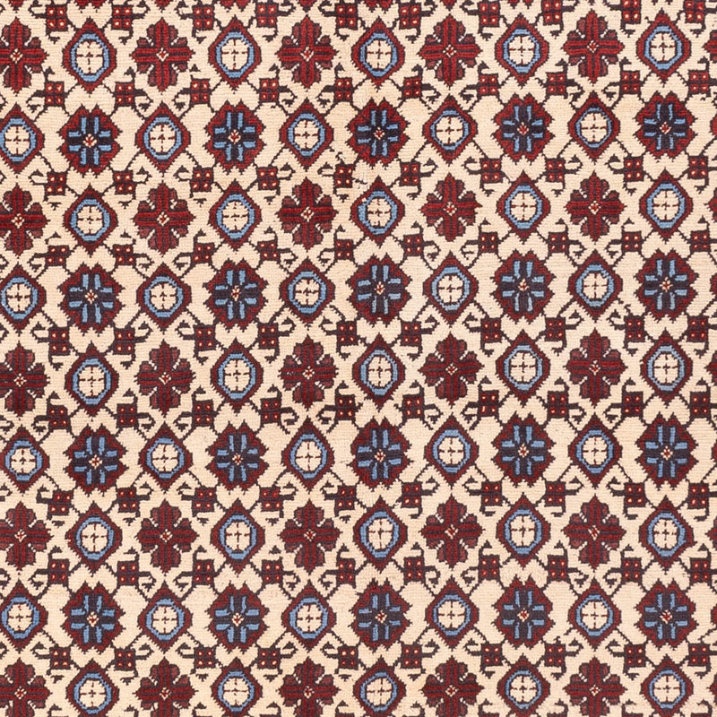 Afghansk tæppe - 281 x 194 cm - lys beige