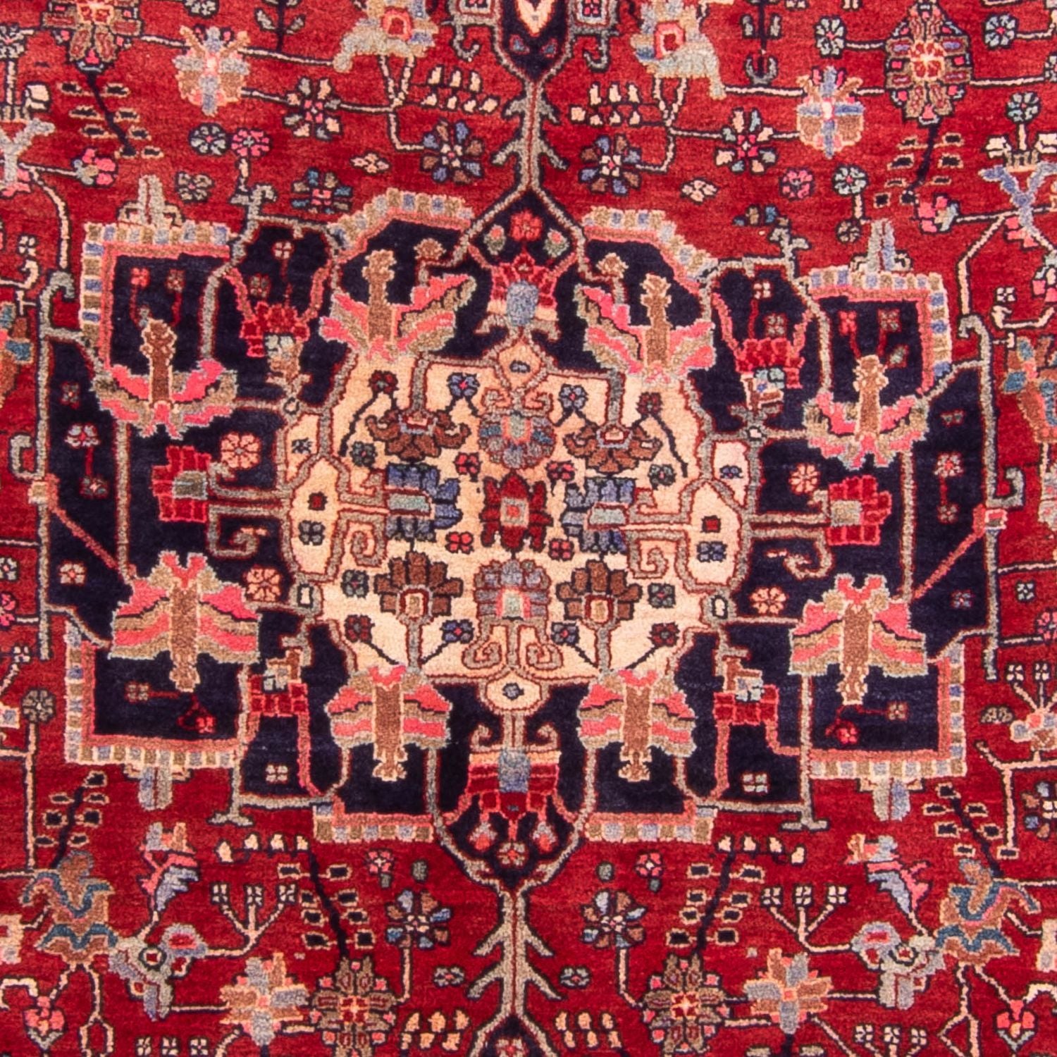 Persisk tæppe - Bijar - 260 x 149 cm - rød