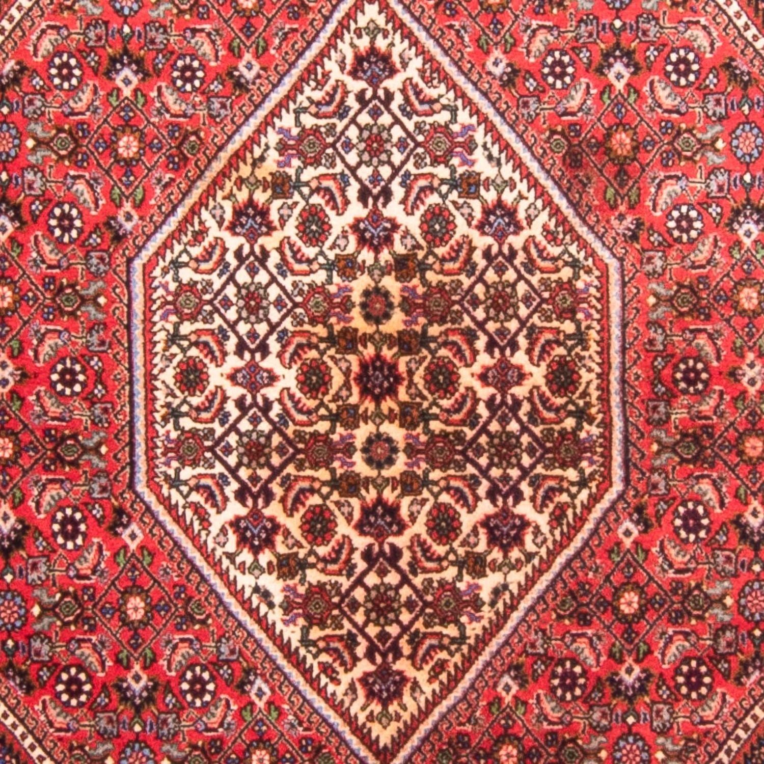 Persisk tæppe - Bijar - 170 x 114 cm - rød