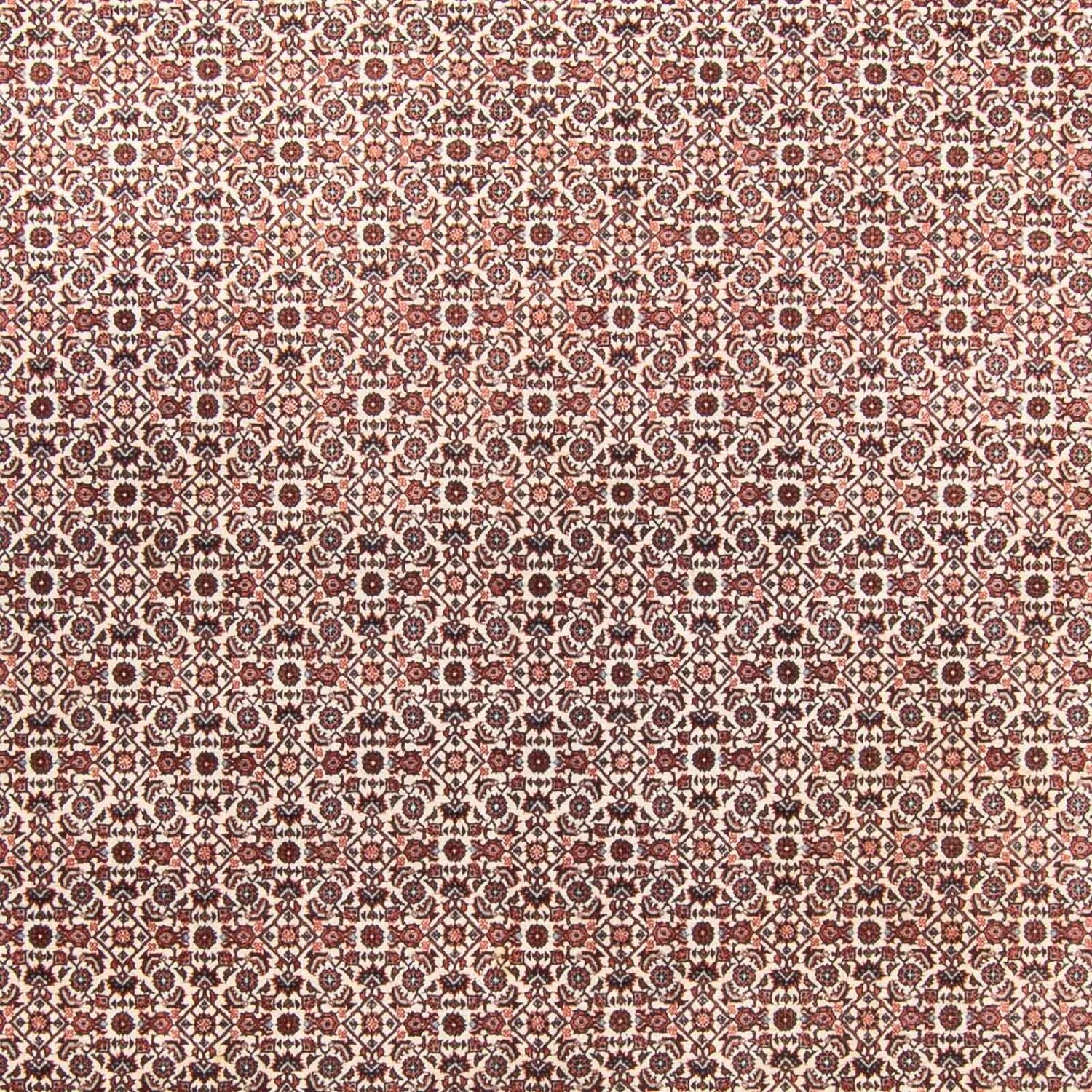 Persisk tæppe - Bijar - 340 x 250 cm - beige