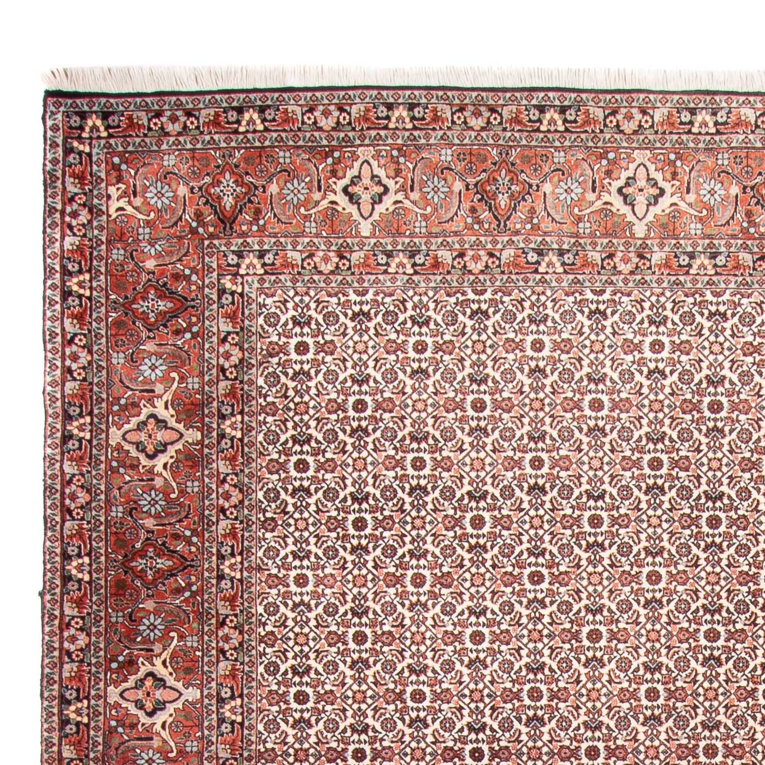 Persisk tæppe - Bijar - 340 x 250 cm - beige