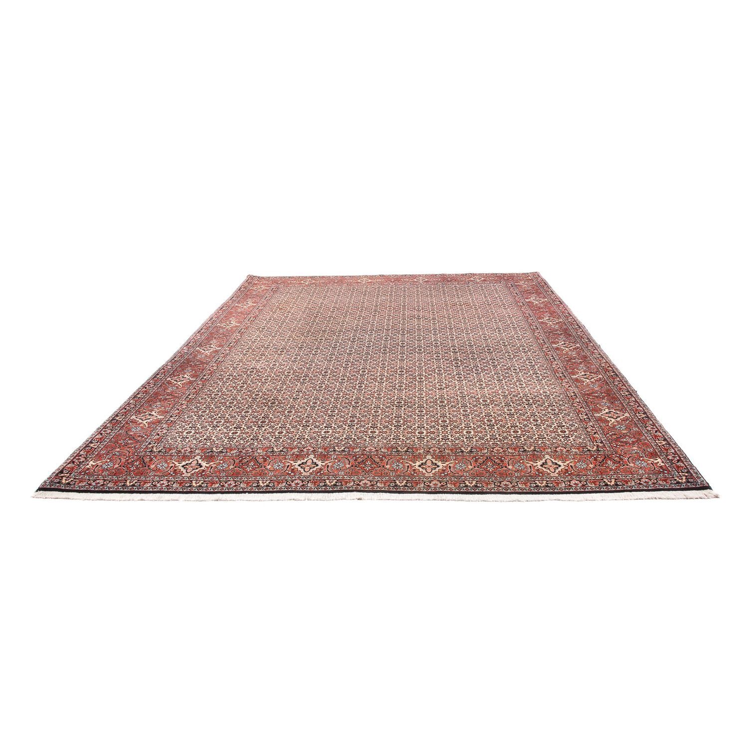 Persisk tæppe - Bijar - 340 x 250 cm - beige