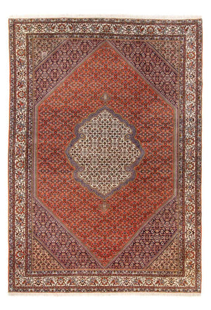 Persisk tæppe - Bijar - 312 x 205 cm - orange