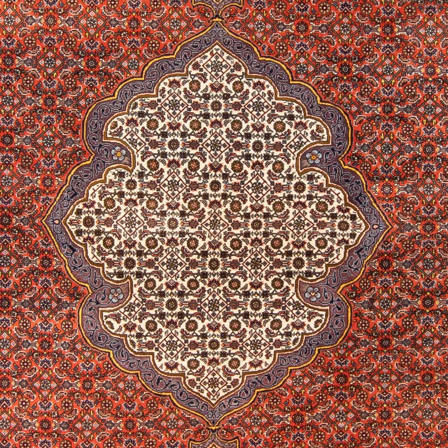 Persisk tæppe - Bijar - 312 x 205 cm - orange