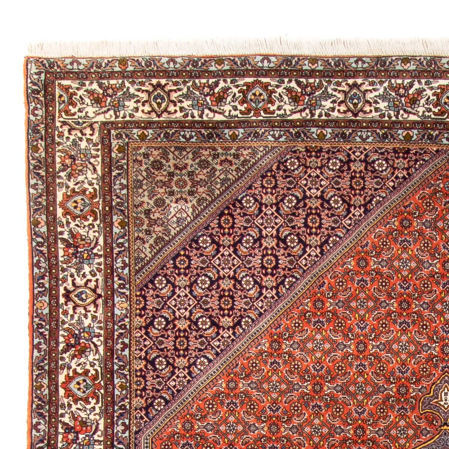 Persisk tæppe - Bijar - 312 x 205 cm - orange