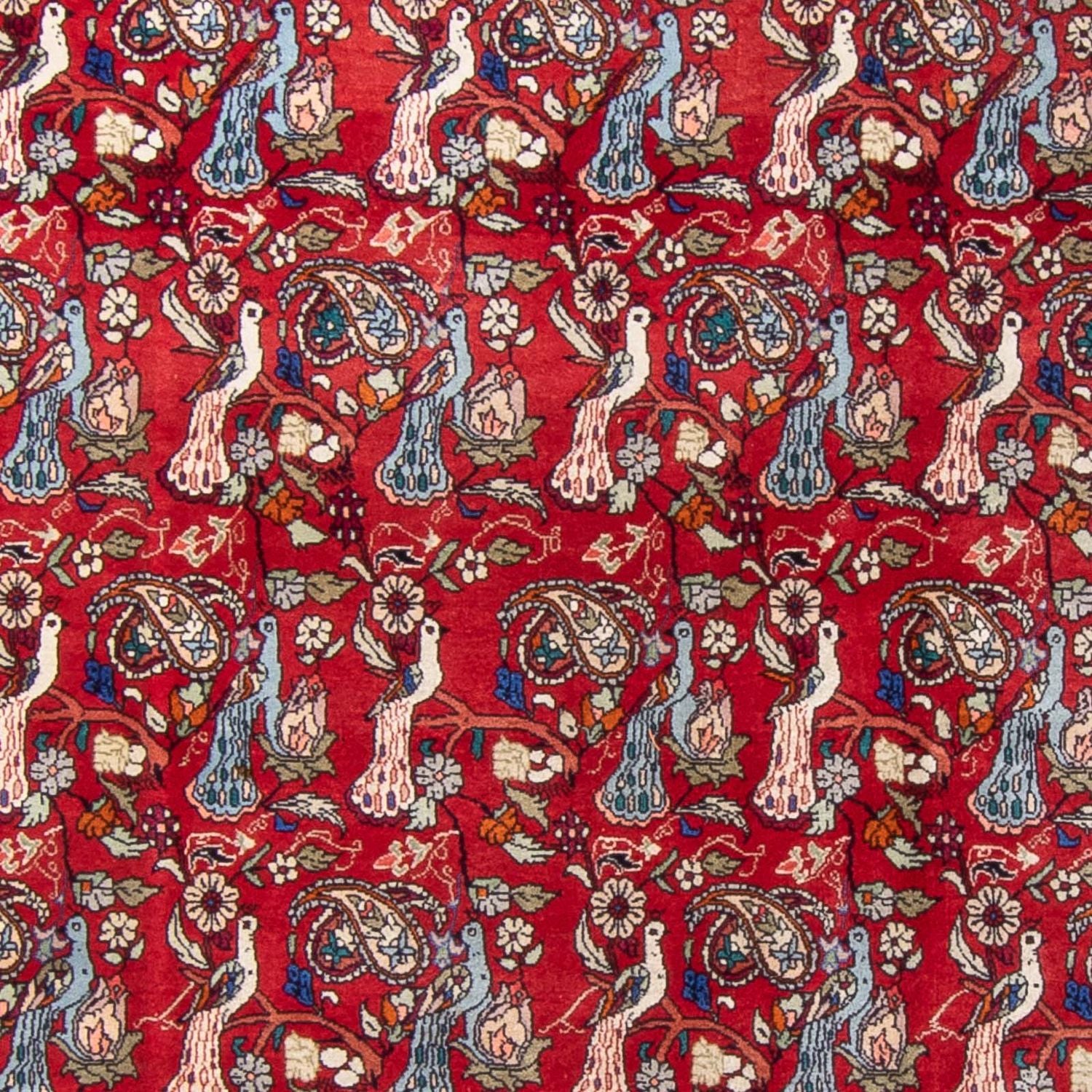 Persisk tæppe - Bijar - 280 x 180 cm - rød