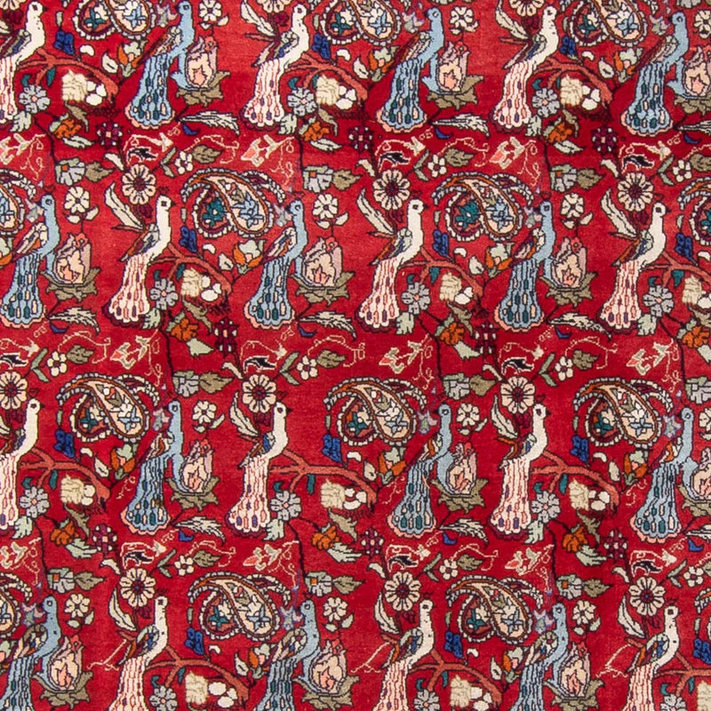 Persisk tæppe - Bijar - 280 x 180 cm - rød