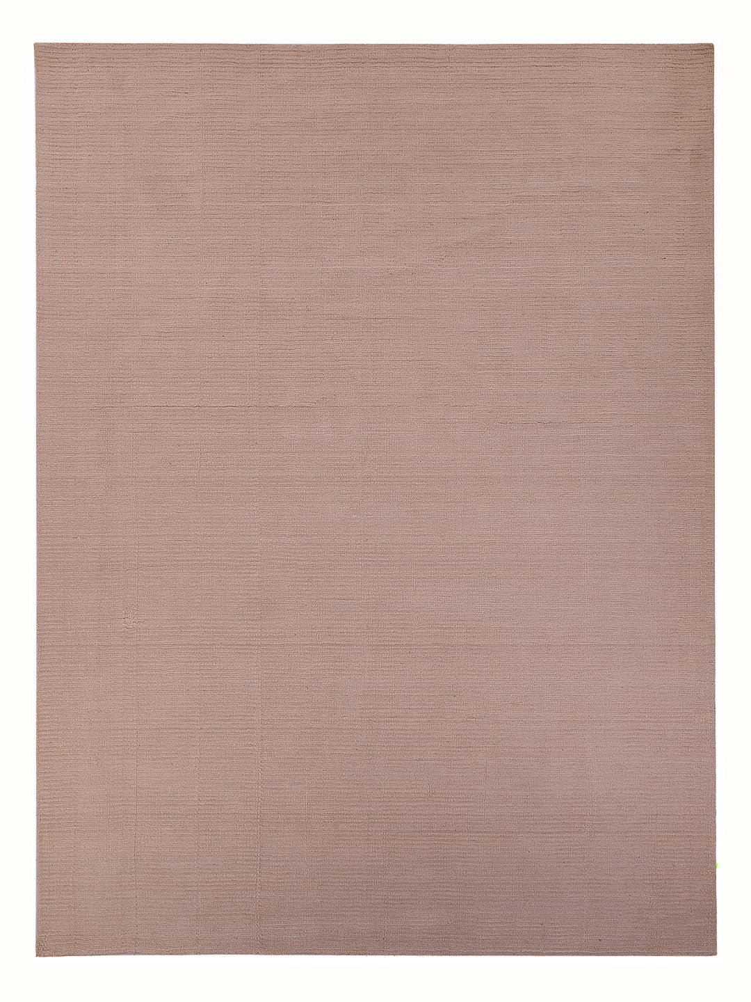 Wollteppich - 360 x 275 cm - beige