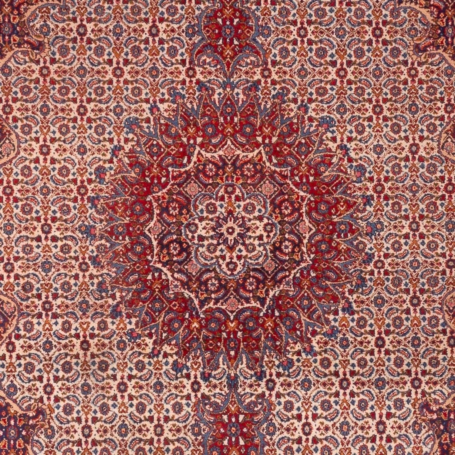 Persisk tæppe - Classic - 303 x 210 cm - lysrød