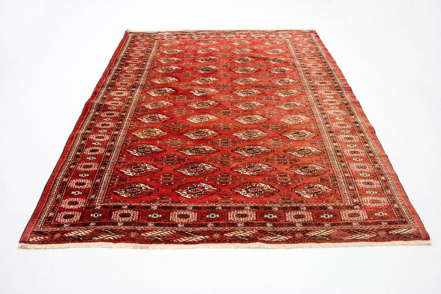 Afghansk tæppe - Bukhara - 229 x 174 cm - rød