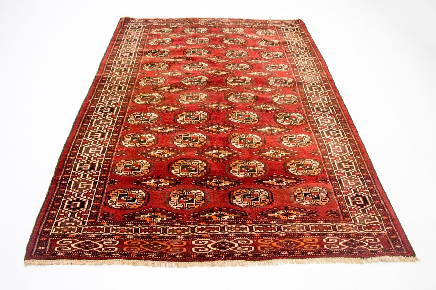 Afghansk tæppe - Bukhara - 215 x 152 cm - rød