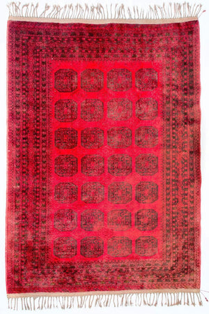 Afghansk tæppe - Bukhara - 292 x 203 cm - rød