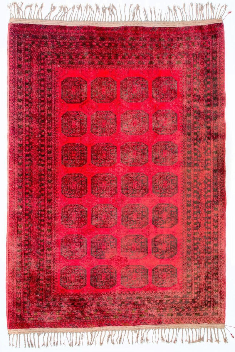 Afghansk tæppe - Bukhara - 292 x 203 cm - rød