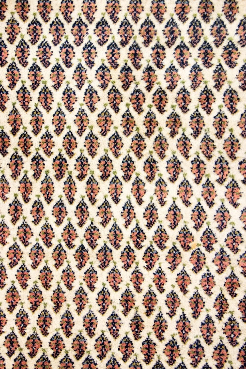 Persisk tæppe - Mir - 330 x 245 cm - beige