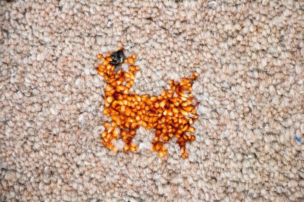 Gabbeh-tæppe - Indus - 200 x 140 cm - brun