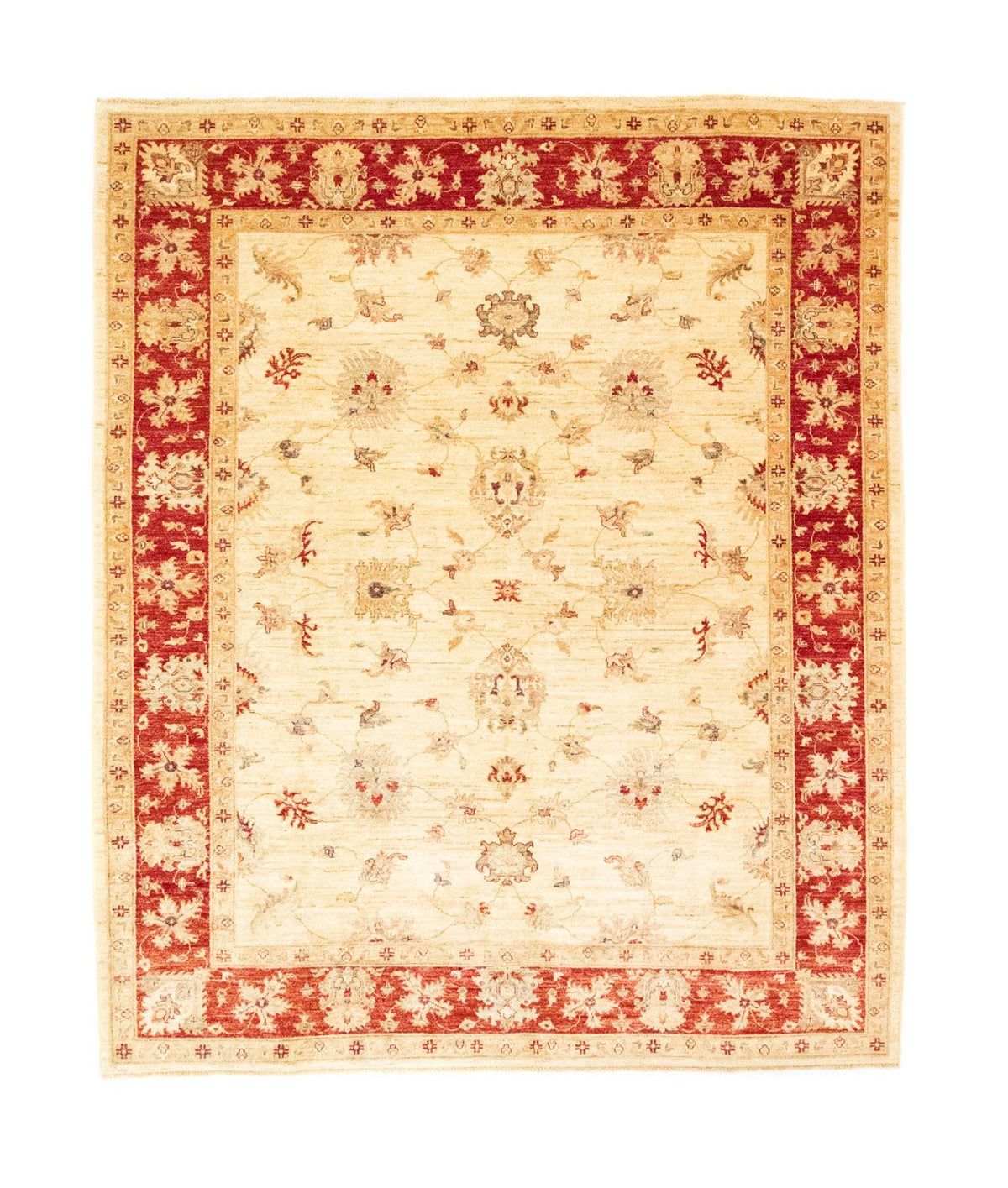 Ziegler Carpet - 245 x 197 cm - beige
