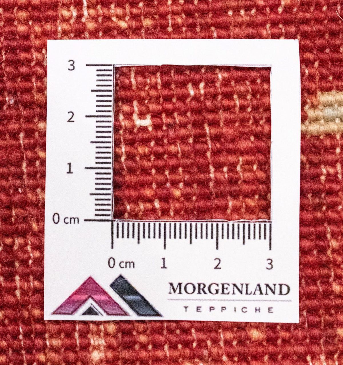 Løber Ziegler Carpet - 301 x 82 cm - rød