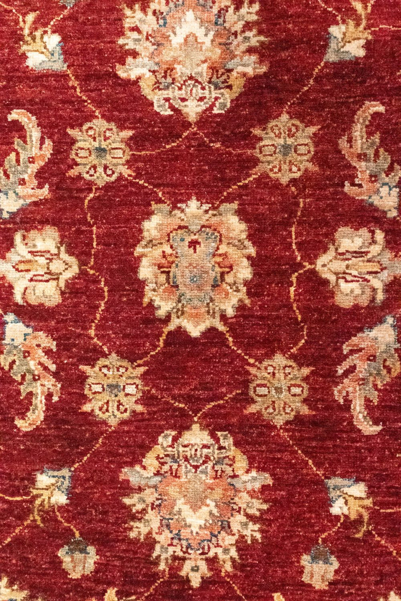 Løber Ziegler Carpet - 297 x 82 cm - rød
