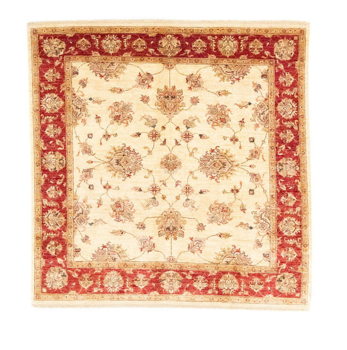 Ziegler Carpet firkantet  - 206 x 204 cm - beige