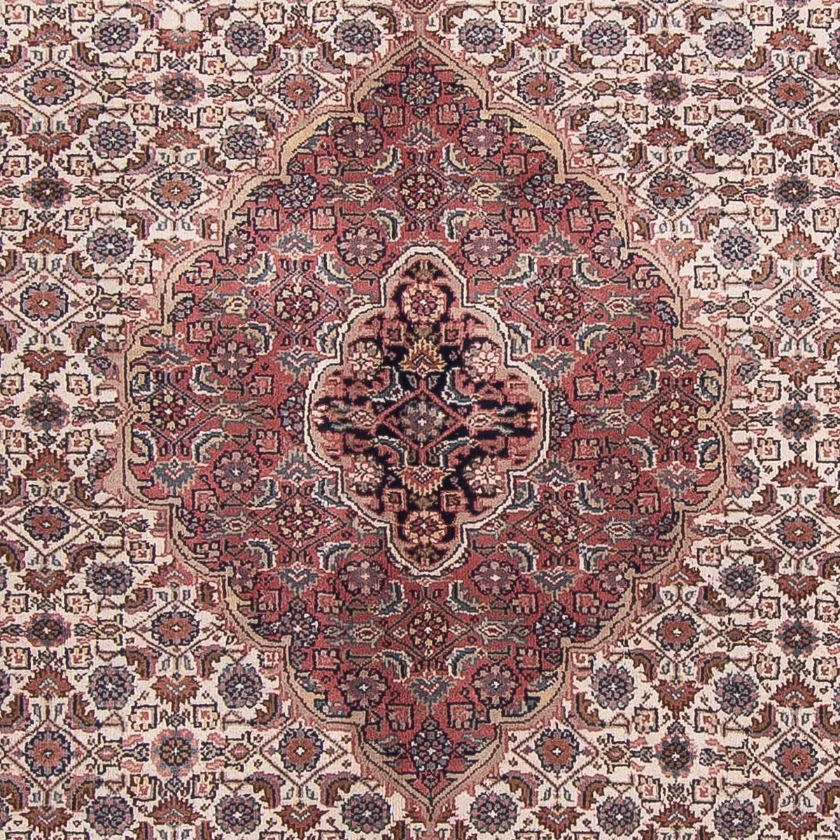 Orientalsk tæppe - Bijar - Indus - 303 x 245 cm - beige