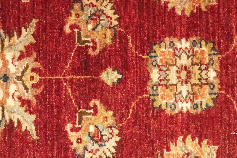 Løber Ziegler Carpet - 178 x 62 cm - rød