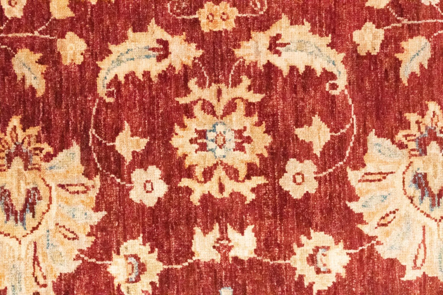 Løber Ziegler Carpet - 252 x 78 cm - rød