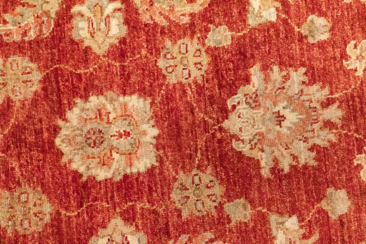 Løber Ziegler Carpet - 297 x 83 cm - rød