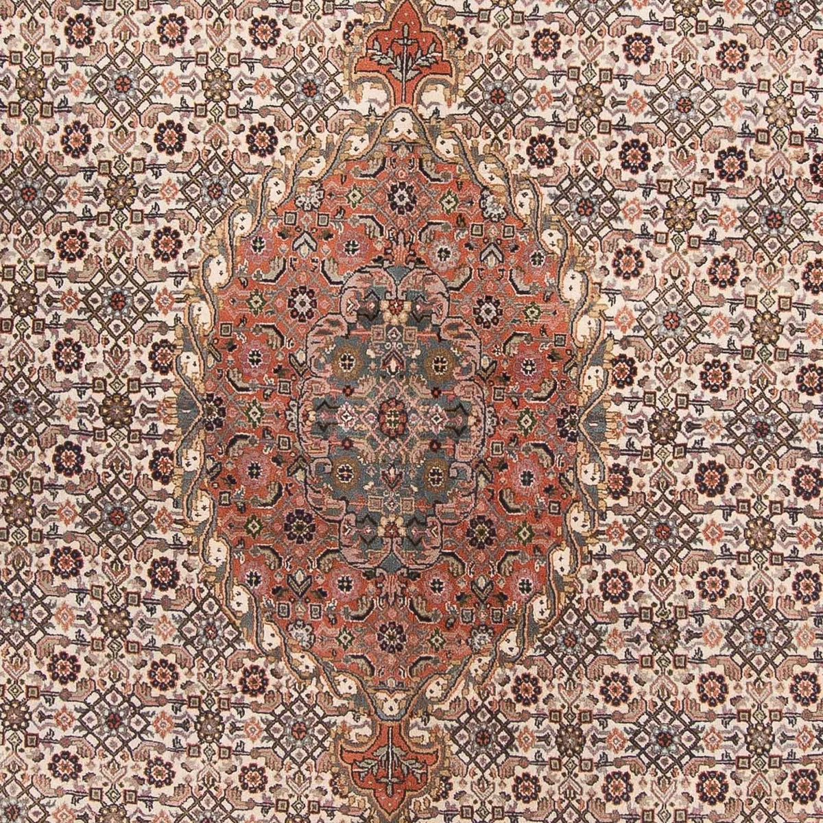 Orientalsk tæppe - Bijar - Indus - 338 x 243 cm - beige