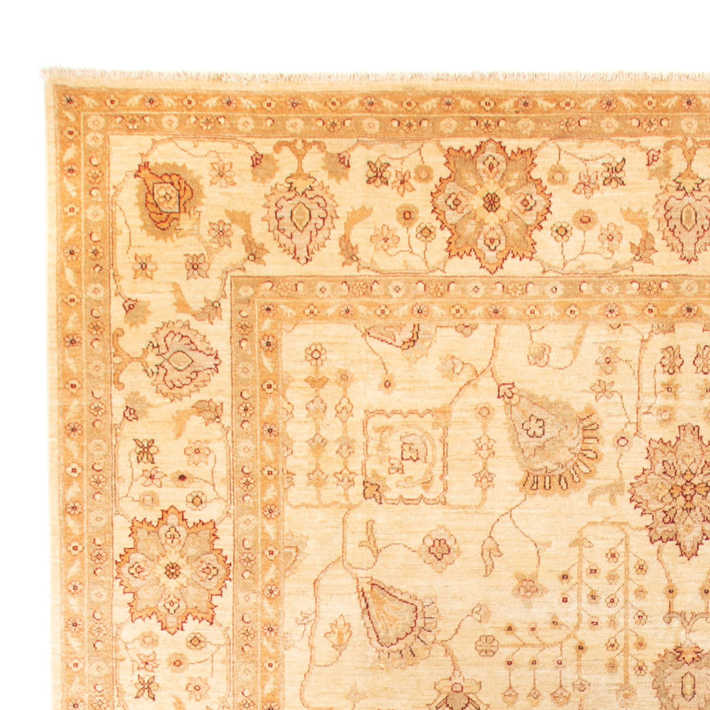 Ziegler Carpet 406x288cm - Orientalsk tæppe