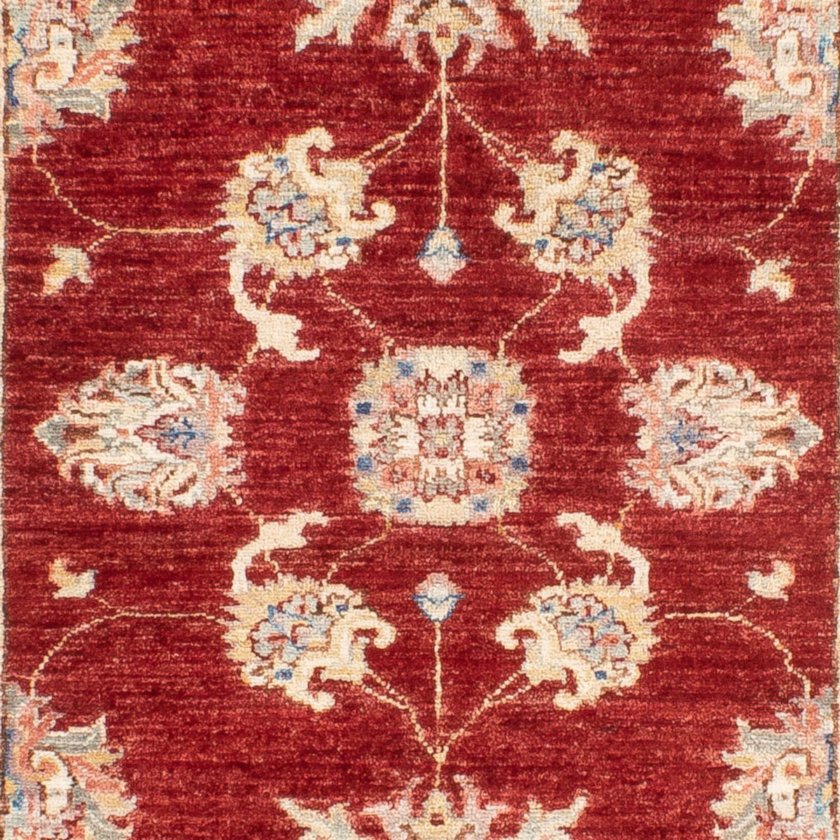 Løber Ziegler Carpet - 202 x 85 cm - rød