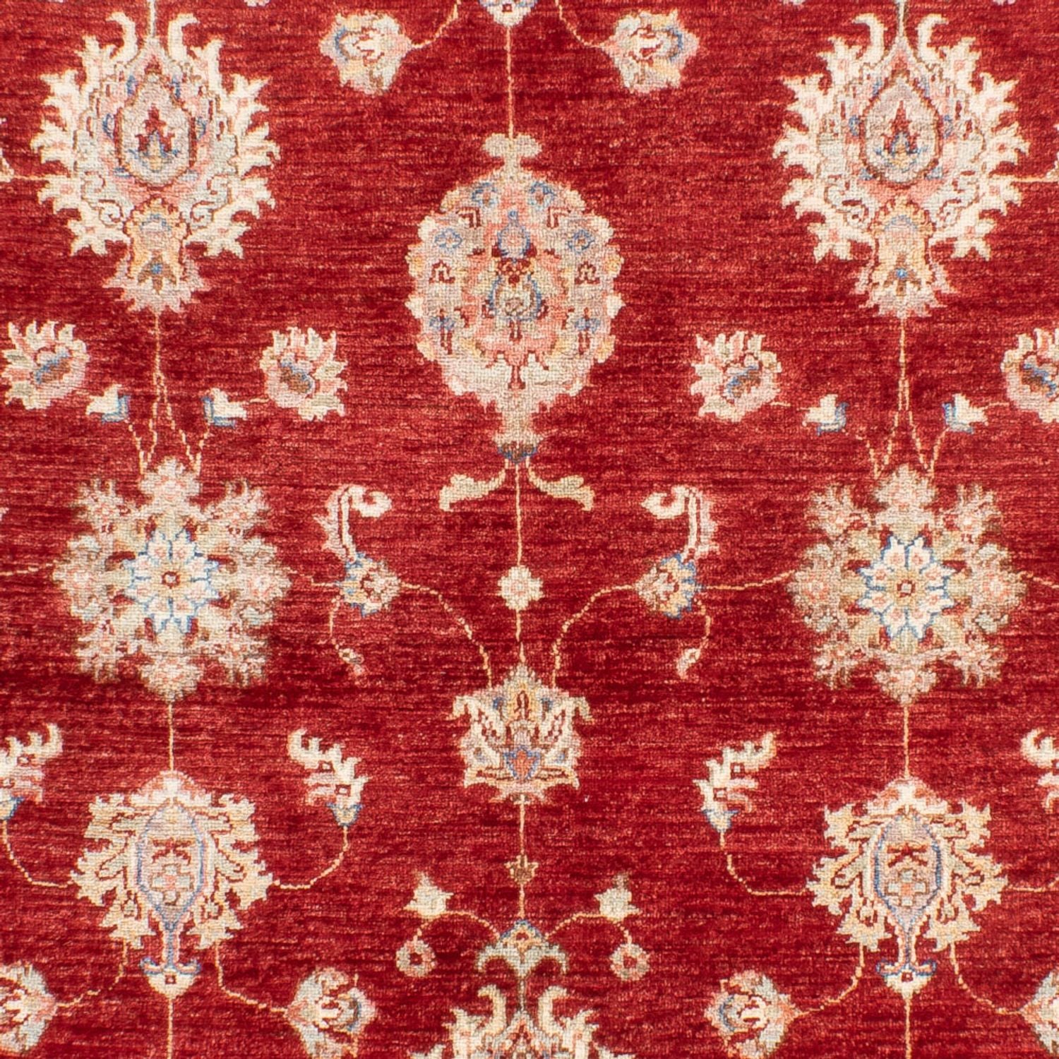 Ziegler Carpet - 216 x 152 cm - rød