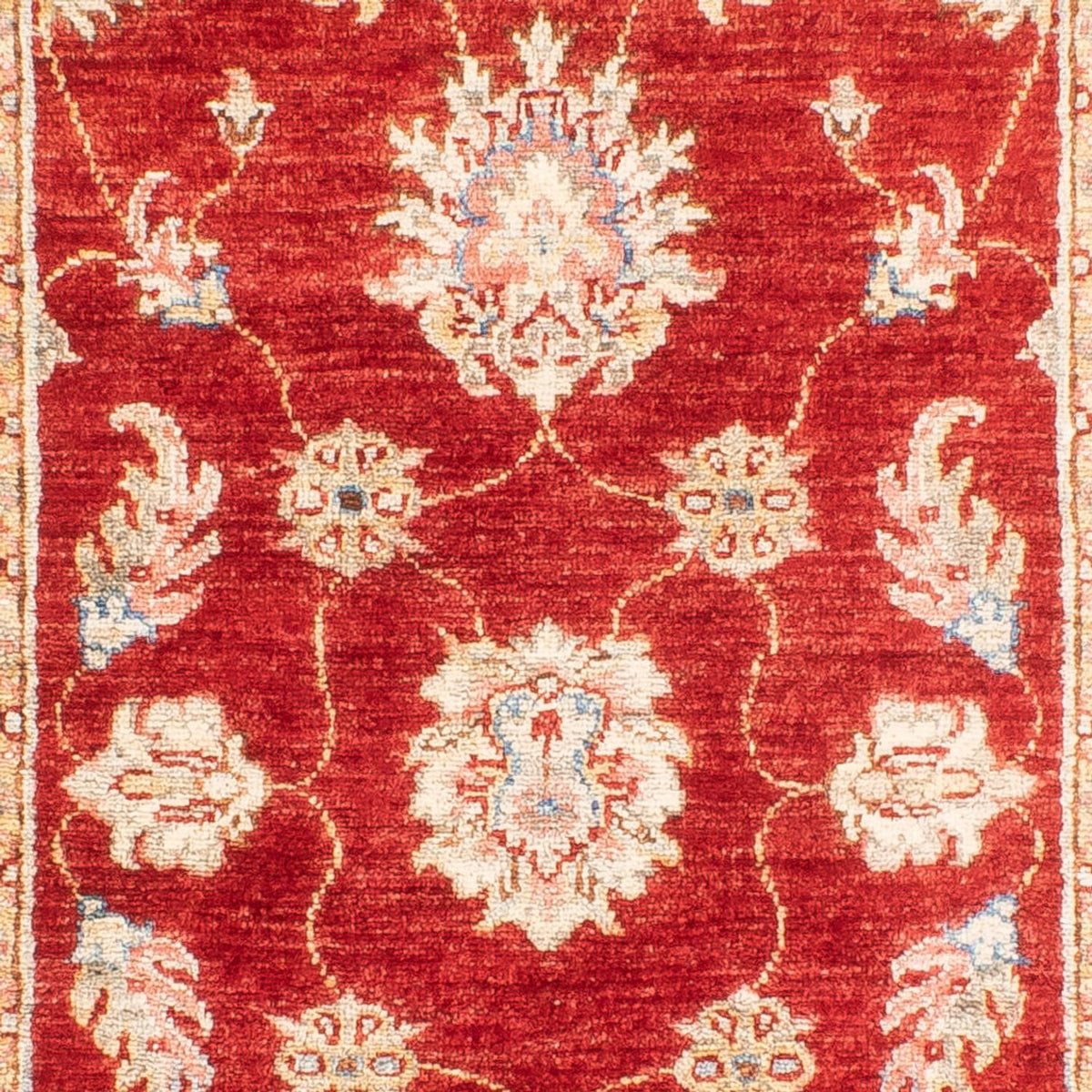 Løber Ziegler Carpet - 216 x 83 cm - rød