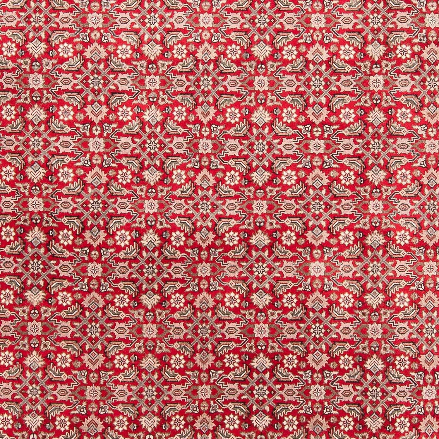 Orientalsk tæppe - Bijar - Indus - 352 x 237 cm - rød