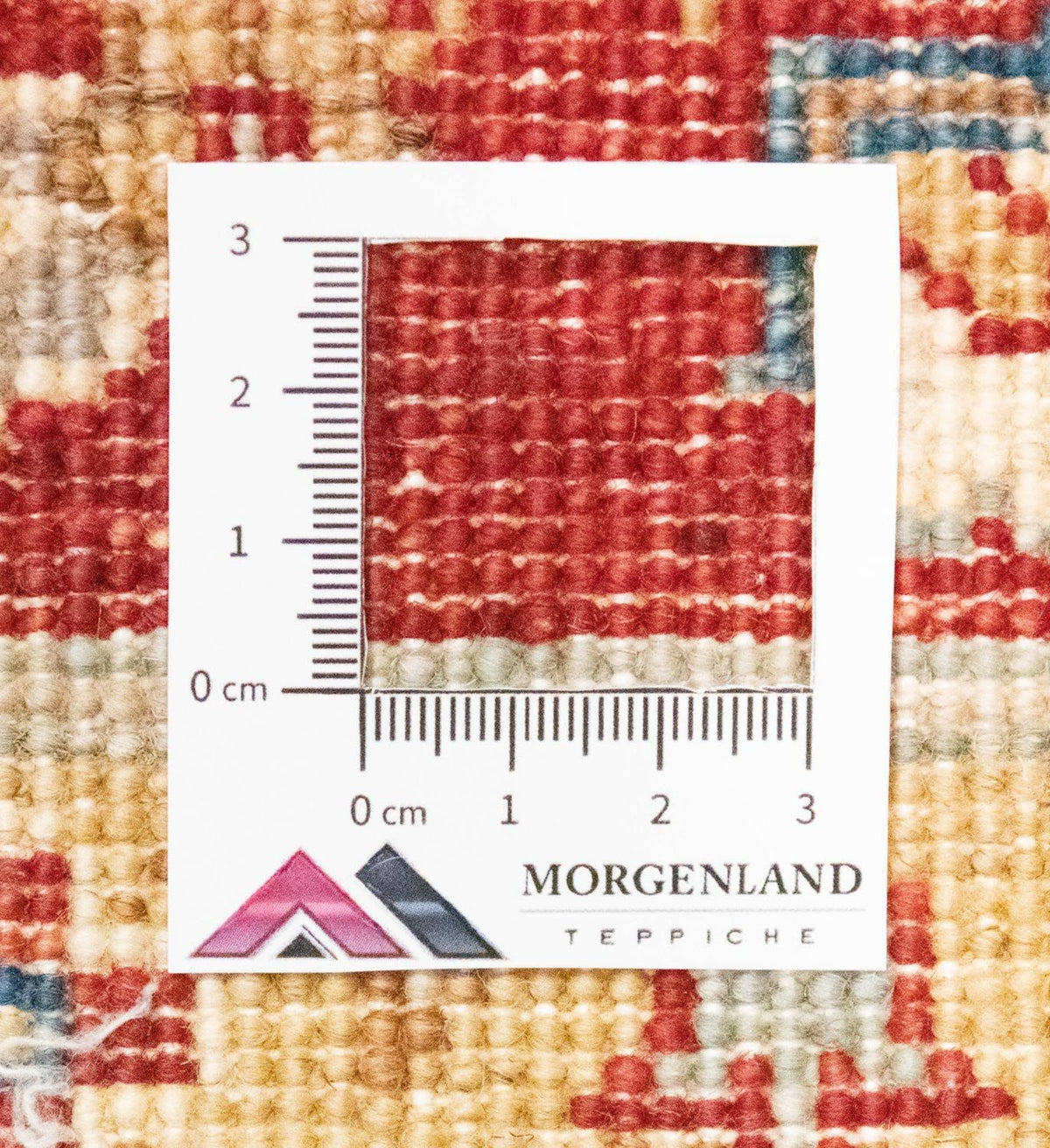 Ziegler Carpet - 215 x 160 cm - beige