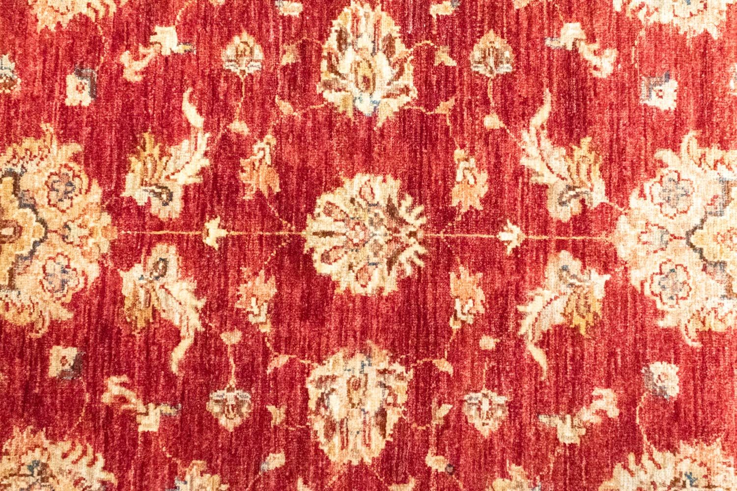 Ziegler Carpet - 153 x 101 cm - rød
