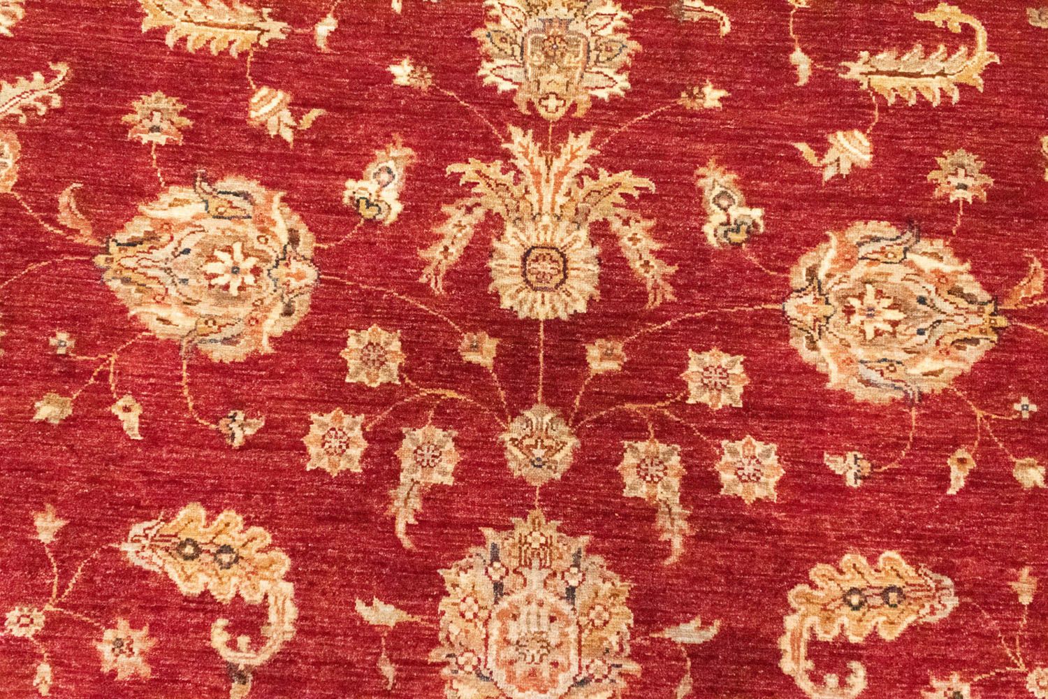 Ziegler Carpet - 296 x 210 cm - rød