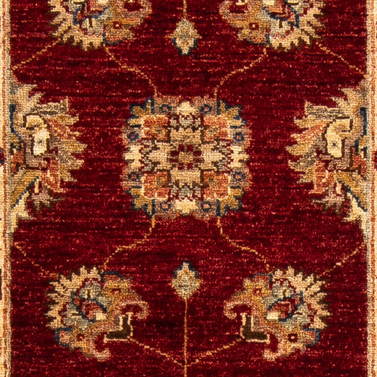 Løber Ziegler Carpet - 178 x 62 cm - mørkerød