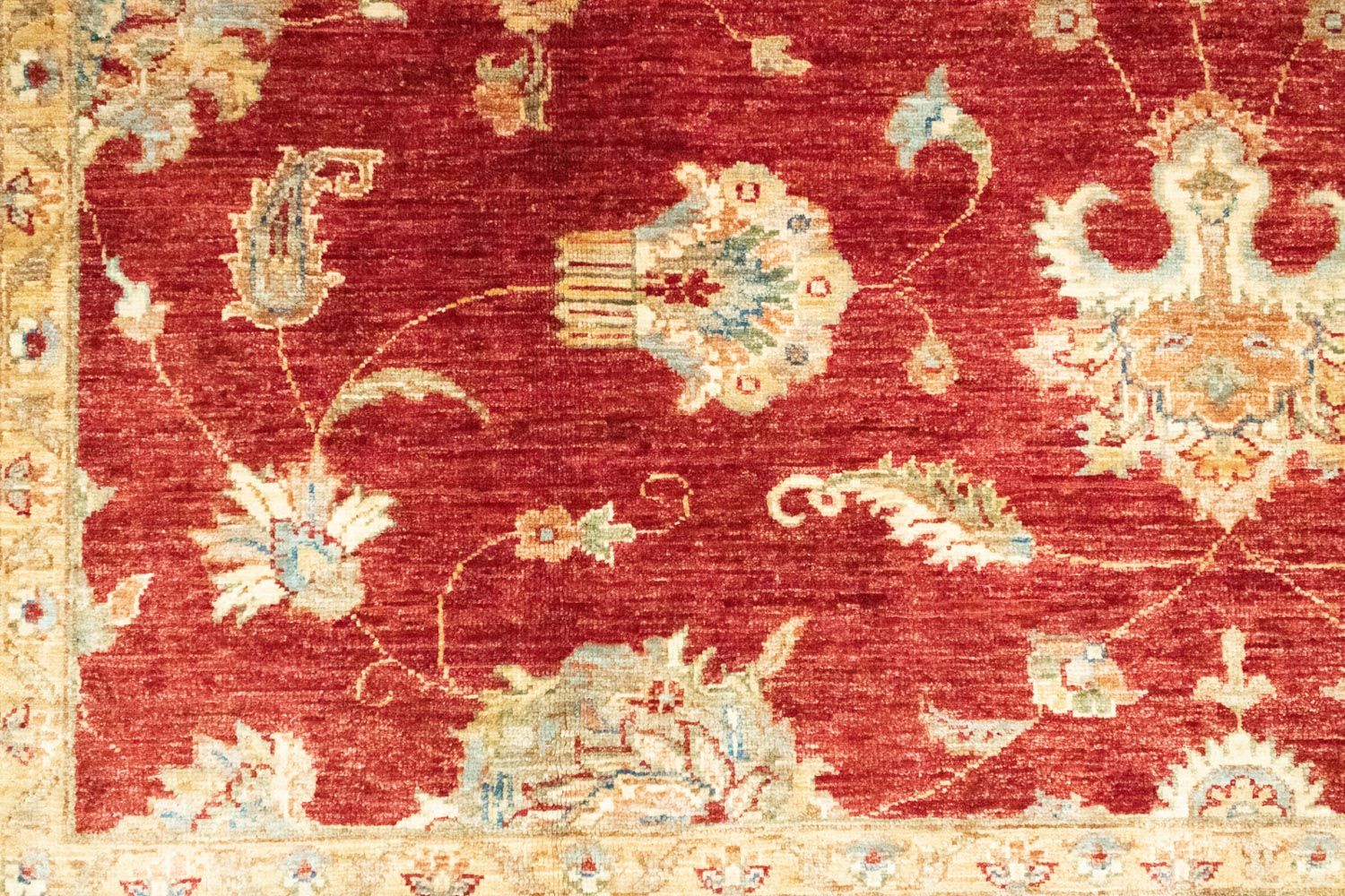 Ziegler Carpet - 305 x 209 cm - rød