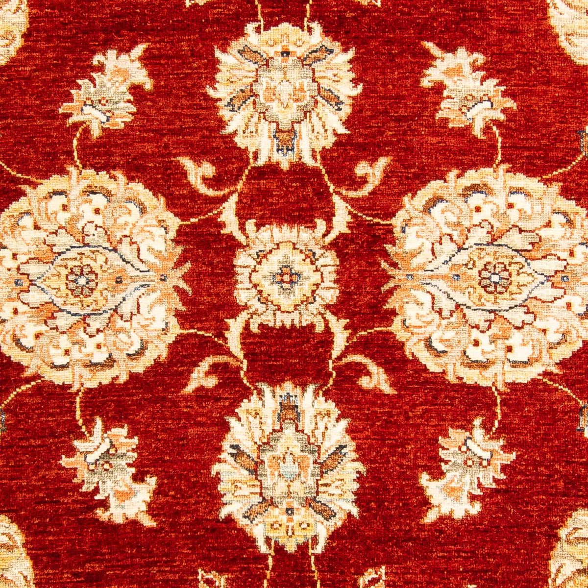 Ziegler Carpet - 193 x 125 cm - mørkerød