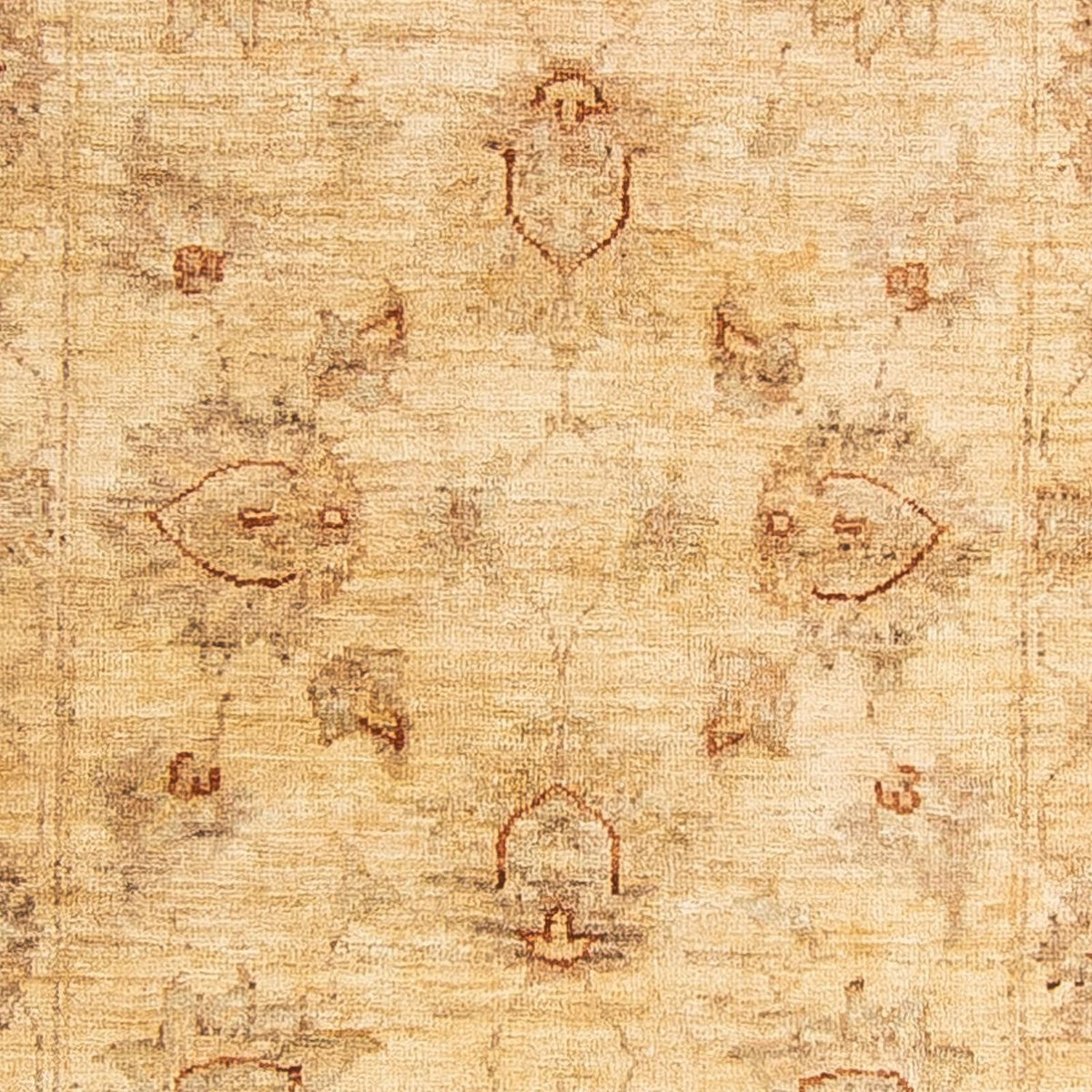 Løber Ziegler Carpet - 244 x 76 cm - lys beige