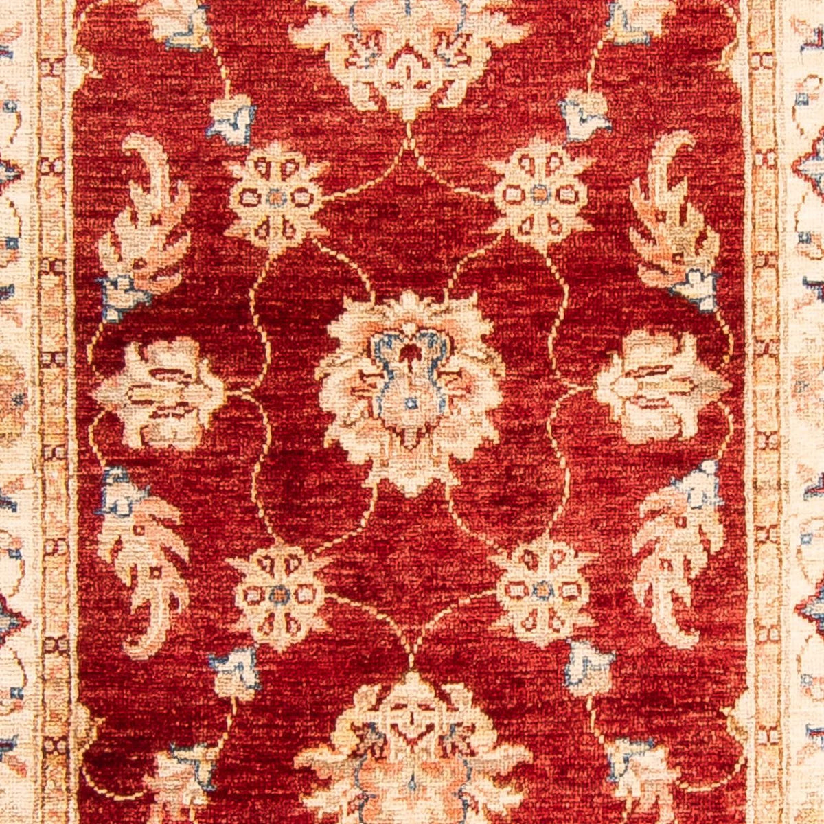 Løber Ziegler Carpet - 264 x 83 cm - mørkerød
