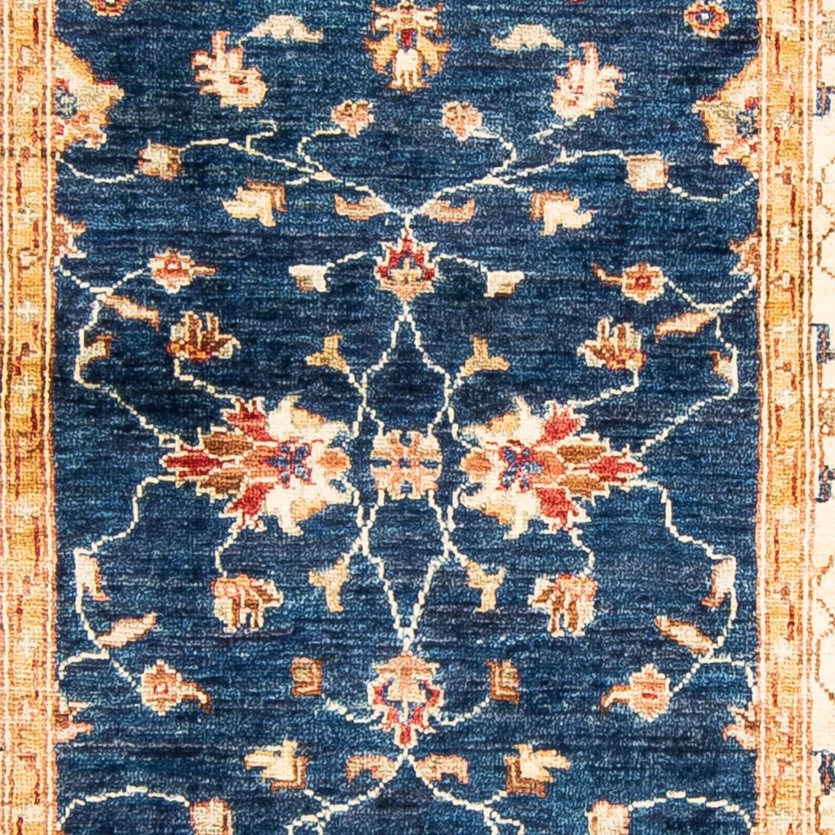 Løber Ziegler Carpet - 273 x 85 cm - mørkeblå