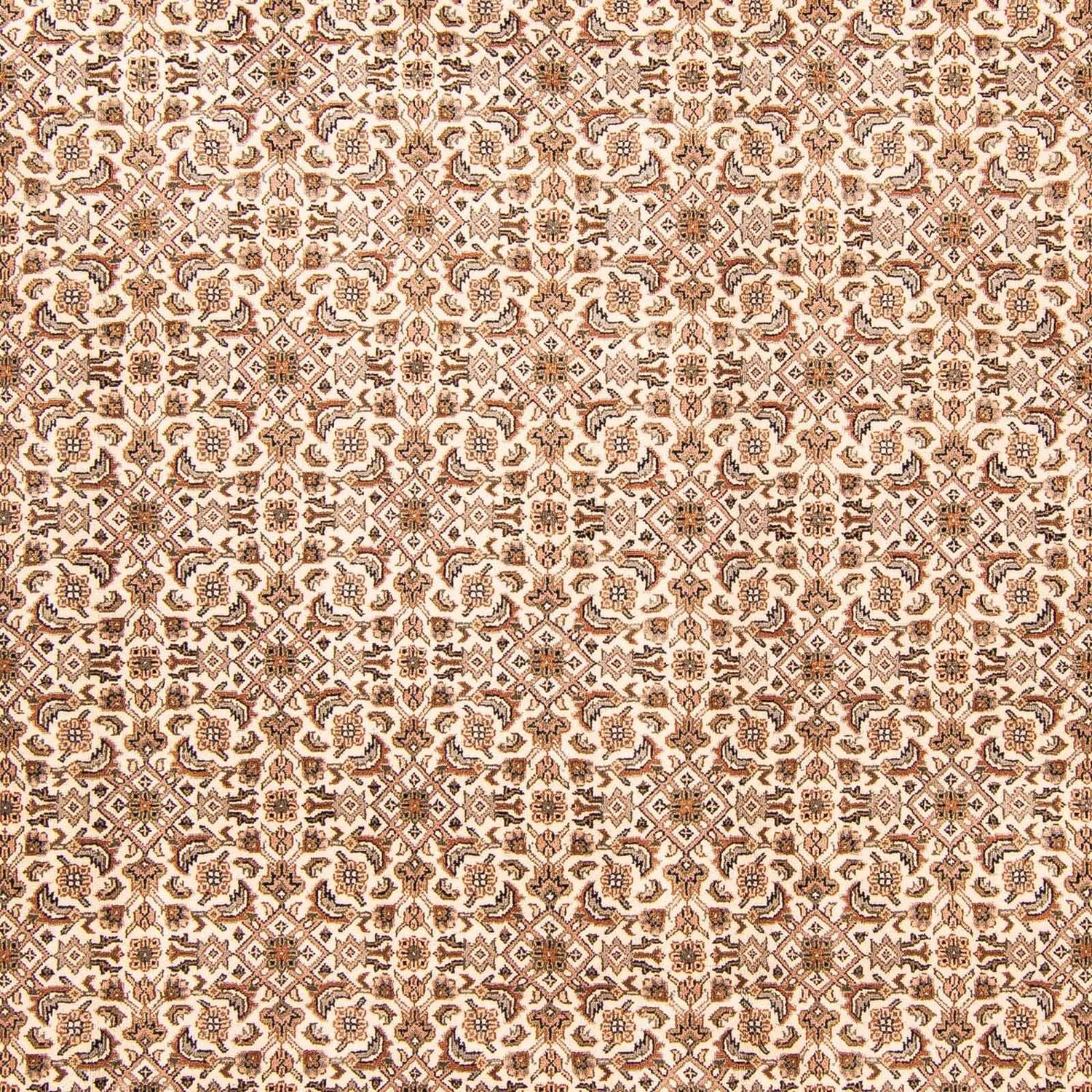 Orientalsk tæppe - Bijar - Indus - 303 x 248 cm - beige