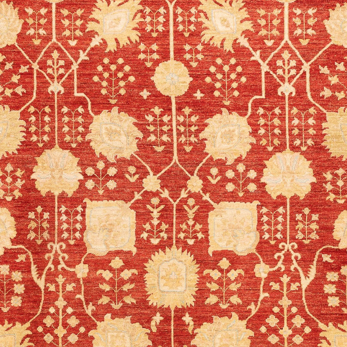 Ziegler Carpet - 343 x 254 cm - rød