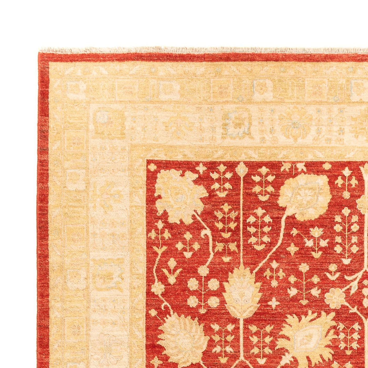 Ziegler Carpet 343x254cm - Orientalsk tæppe