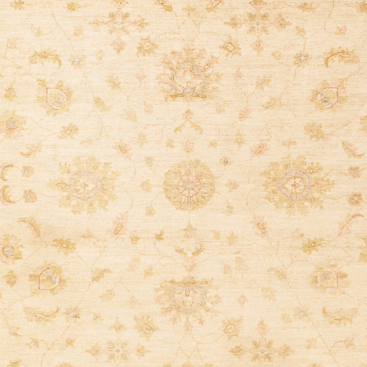 Ziegler Carpet - 344 x 254 cm - beige