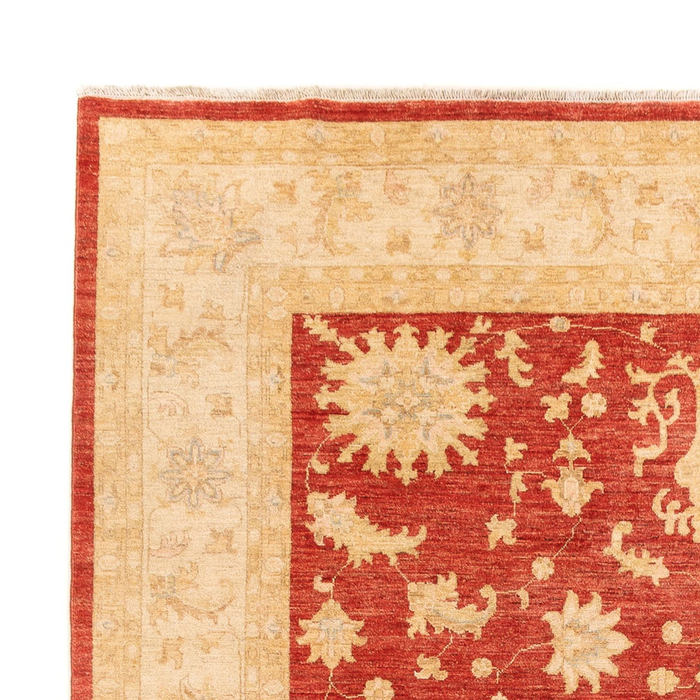 Ziegler Carpet 343x254cm - Orientalsk tæppe